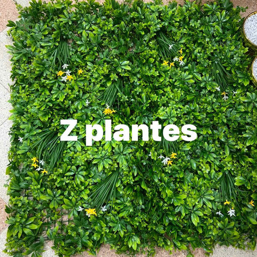 MUR VEGETAL 1 METRE CARRE